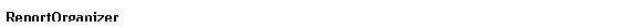 Text Box: ReportOrganizer
